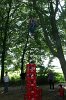 Camp 2011 (2848)